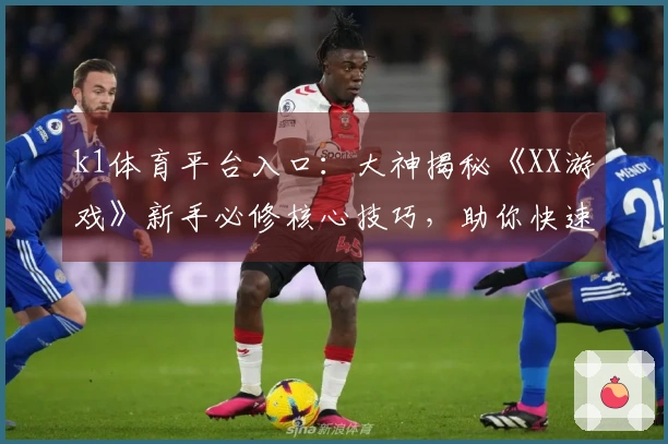 k1体育平台入口：大神揭秘《XX游戏》新手必修核心技巧，助你快速崛起！