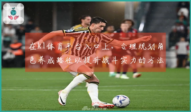 在k1体育平台入口上，合理规划角色养成路径以提升战斗实力的方法分享