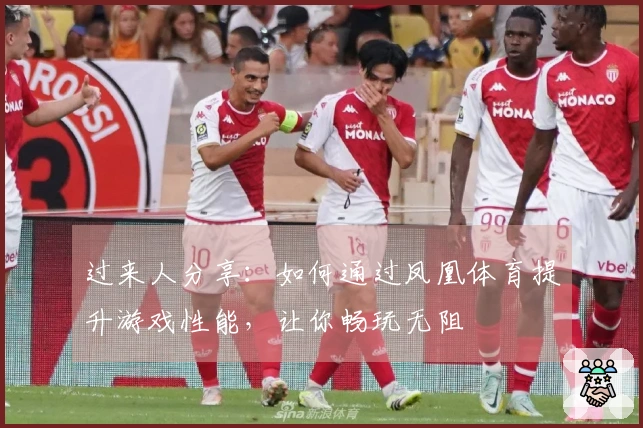 过来人分享：如何通过凤凰体育提升游戏性能，让你畅玩无阻